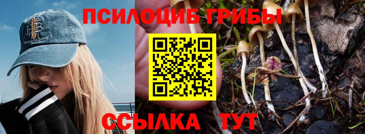 Псилоцибиновые грибы ЛСД Шумерля